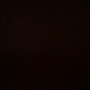 Meet your Posher, Nina